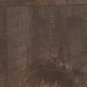 Meet your Posher, Vanessa